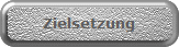 Zielsetzung